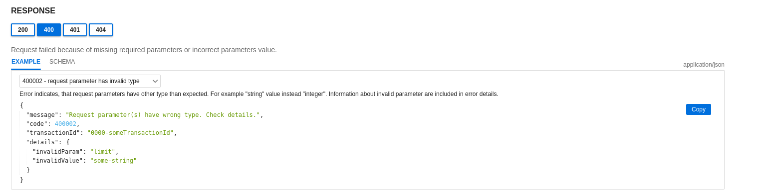 Example Error Response